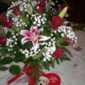 Meet your Posher, Anita